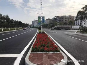 建港路路面大修已完工,海滄馬拉松賽的 顏值加速度